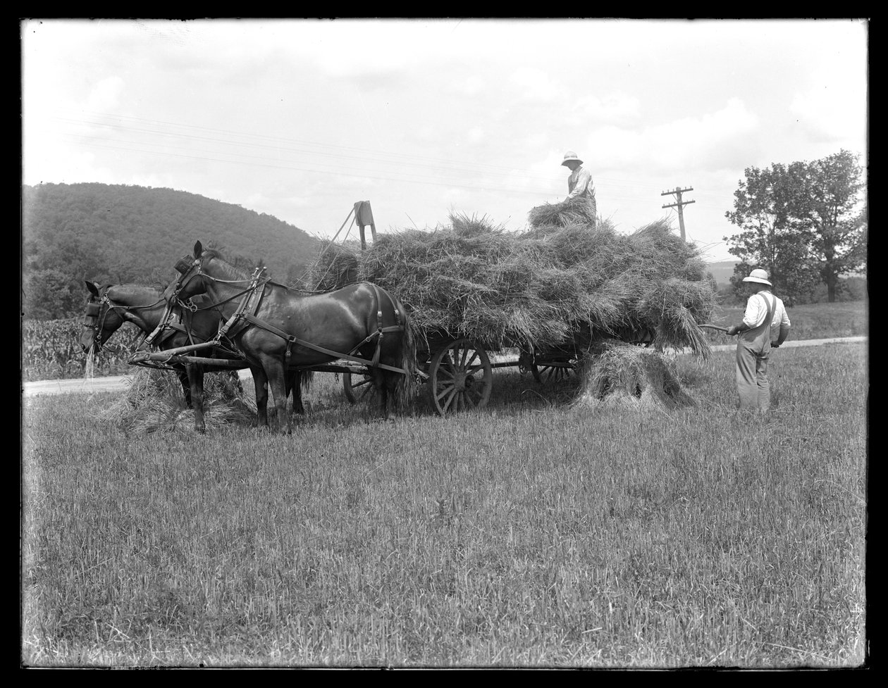 Två män lastar vetekärvar på en hästdragen vagn, förmodligen McCready Farm, Crawford County, Pennsylvania, ca 1913 av William Davis Hassler