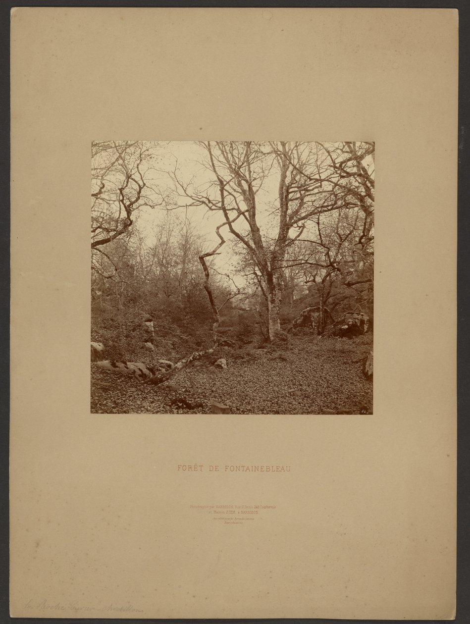 Fontainebleau-skogen av William Drooke Harrison