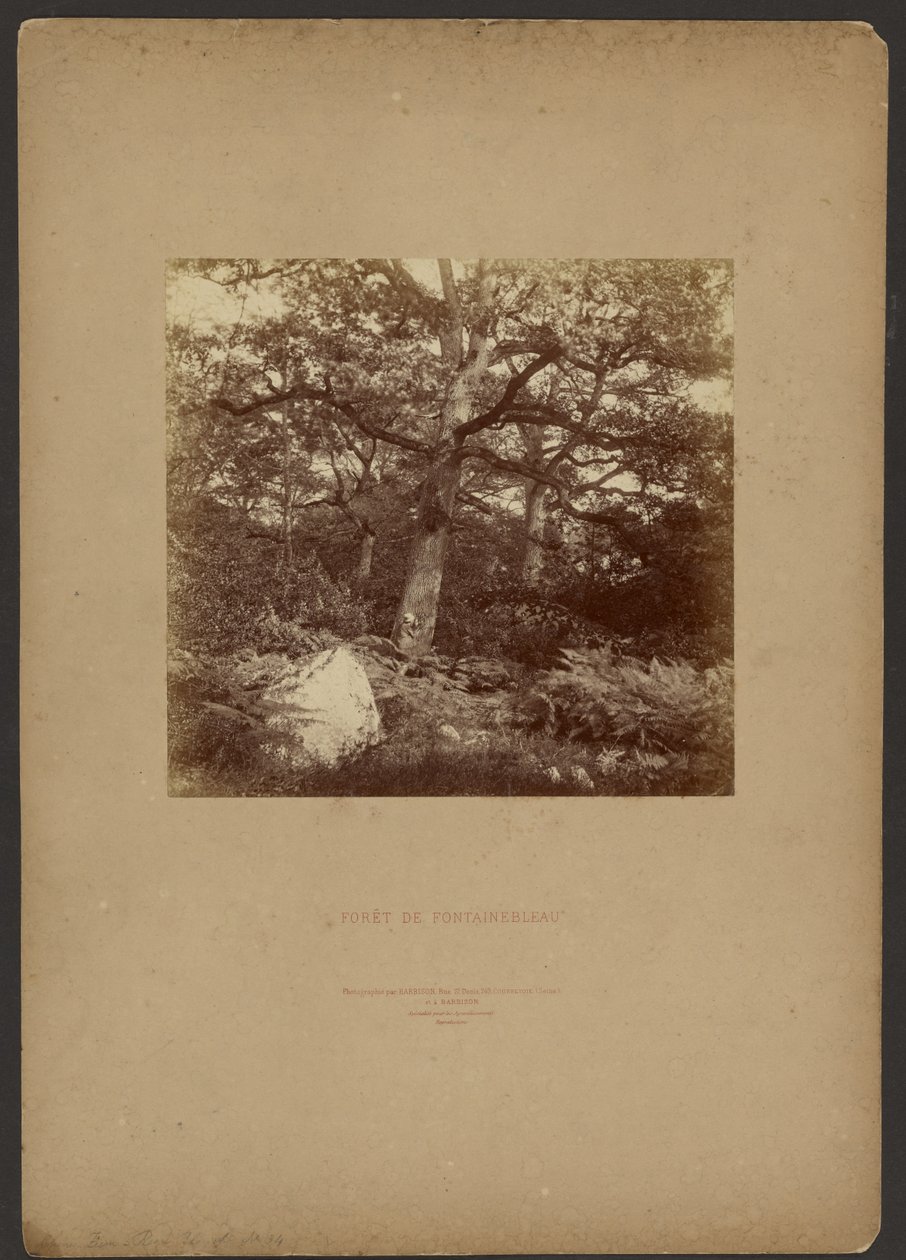 Fontainebleau-skogen av William Drooke Harrison