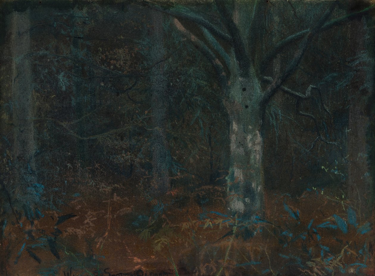 Gamla Sycamore av William Edward Stott