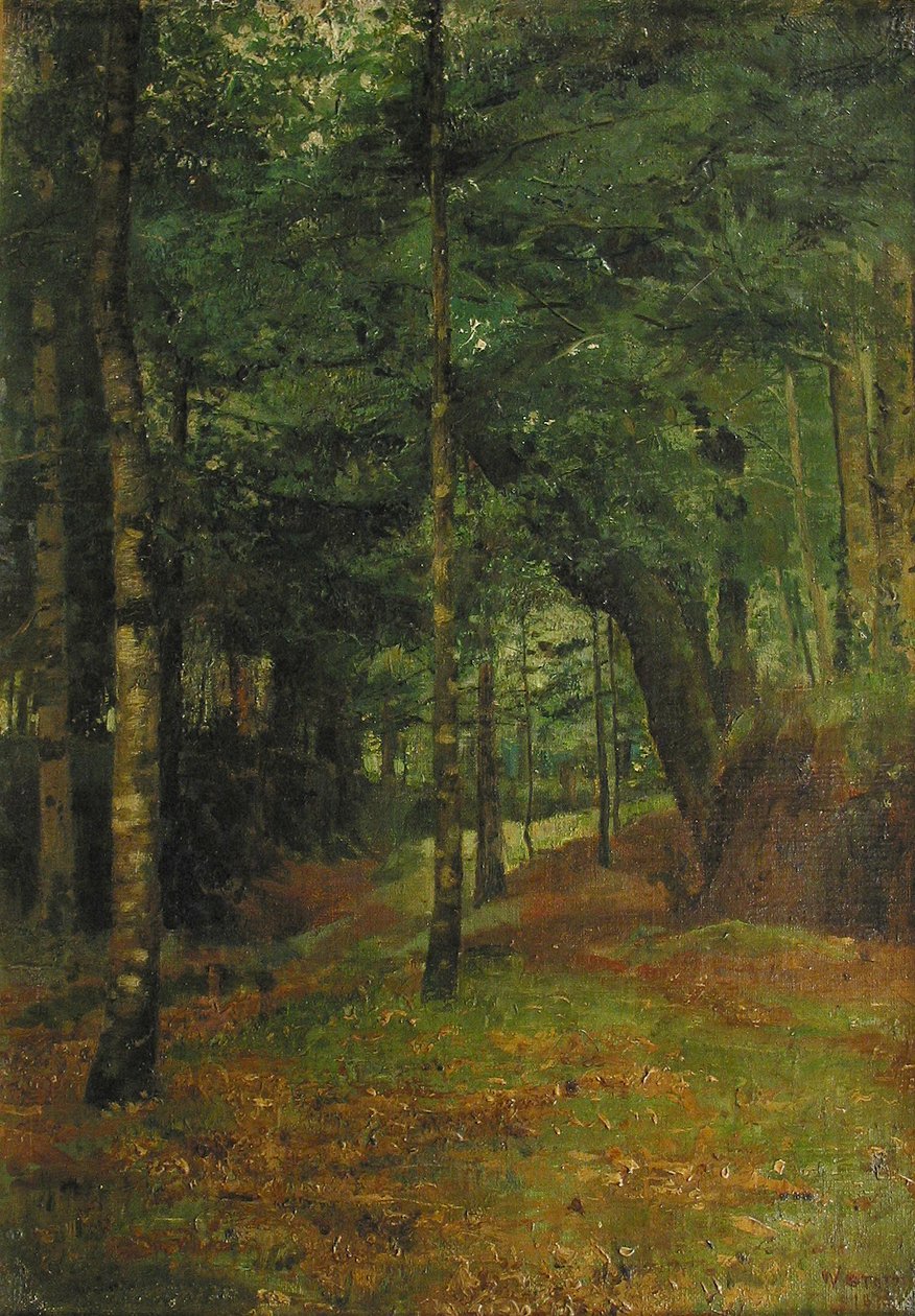Studie av solen som skiner genom träden, Concarneau av William Edward Stott