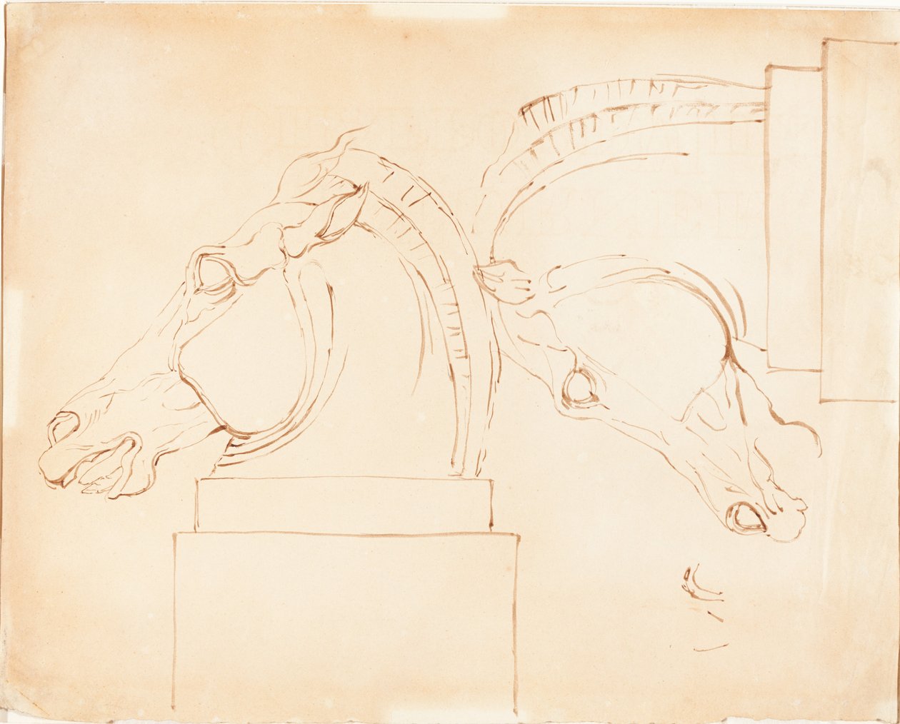 The Horse of Selene från Elgin Marbles [recto] av William Etty