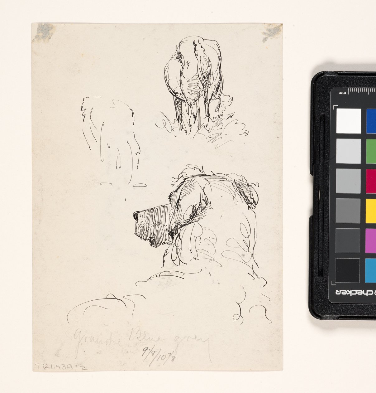 Dog (Recto), Dog And Cow (Verso) (penna och bläck på krämvävt papper) av William Forsyth