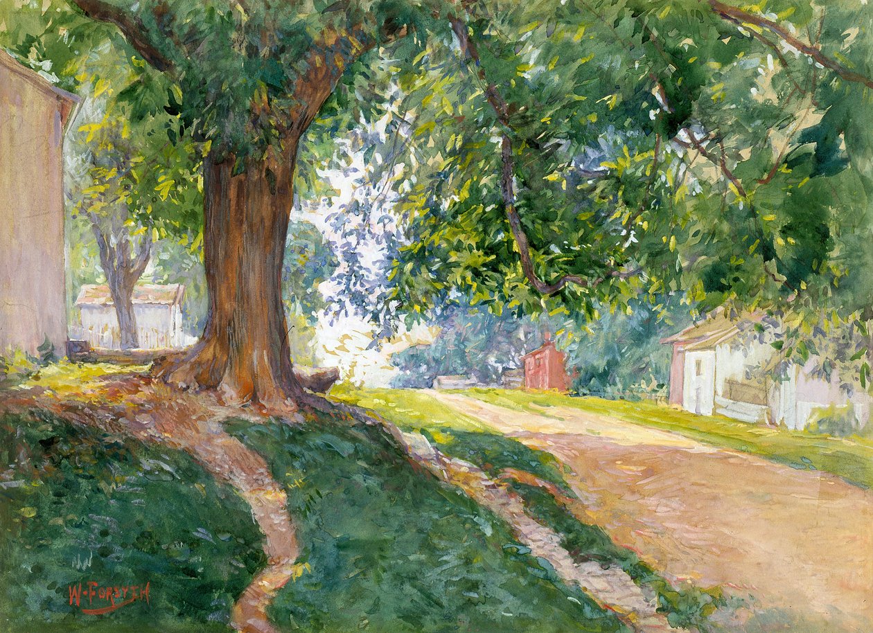 The Constitutional Elm (akvarell och gouache på benvitt papper) av William Forsyth