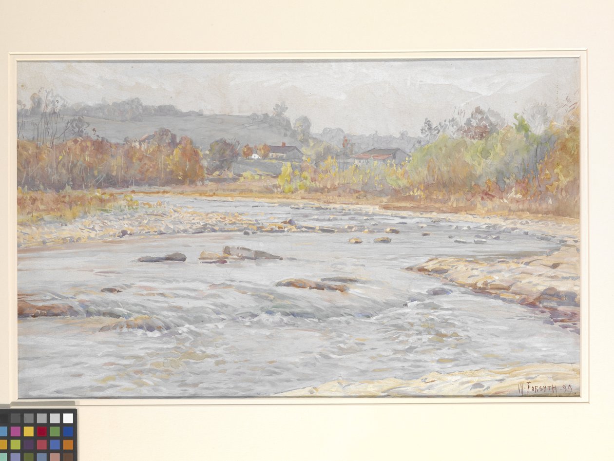 Whitewater Rapids (akvarell på benvitt papper) av William Forsyth