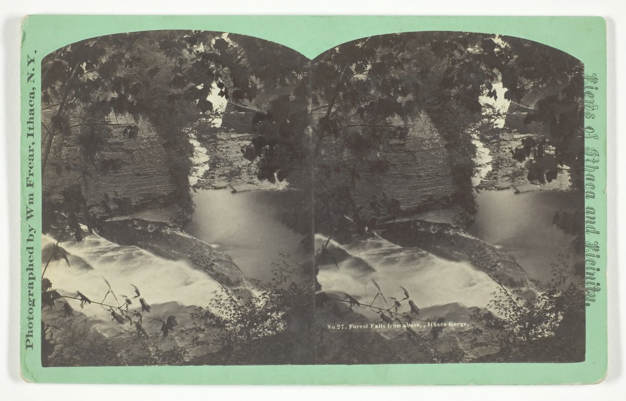 Forest Falls från ovan, Ithaca Gorge, sent 1800-tal. av William Frear