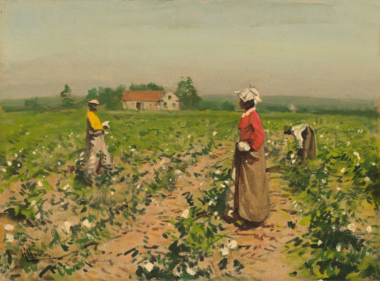 Plocka bomull, ca. 1890. av William Gilbert Gaul