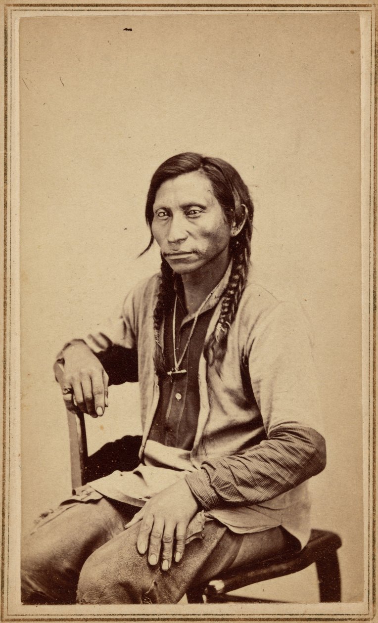 Grå varg,1860-talet (foto) av William Gunnison Chamberlain