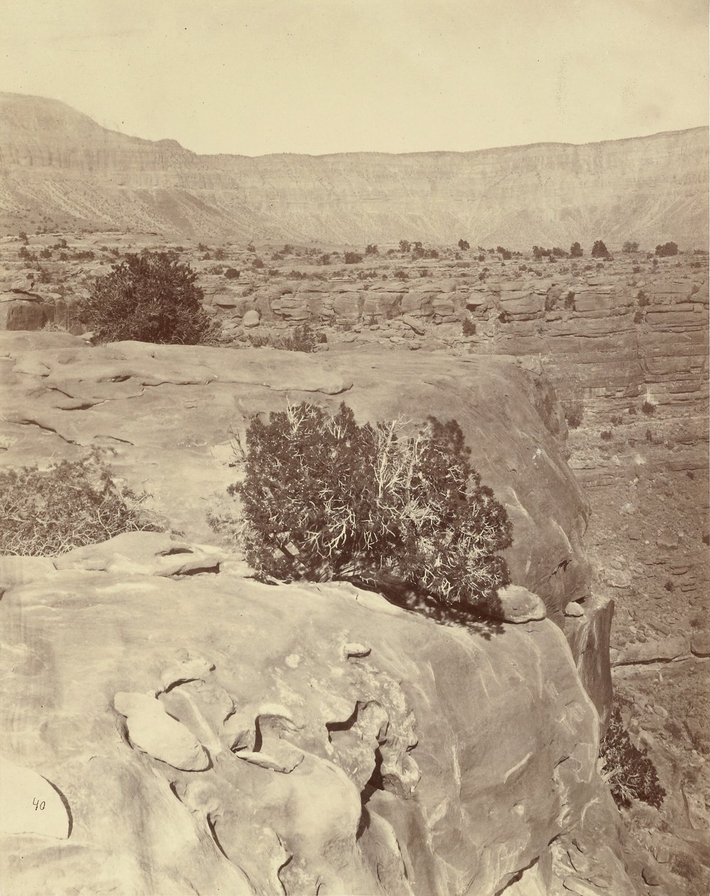 Platån, norr om Grand Canyon av William H. Bell