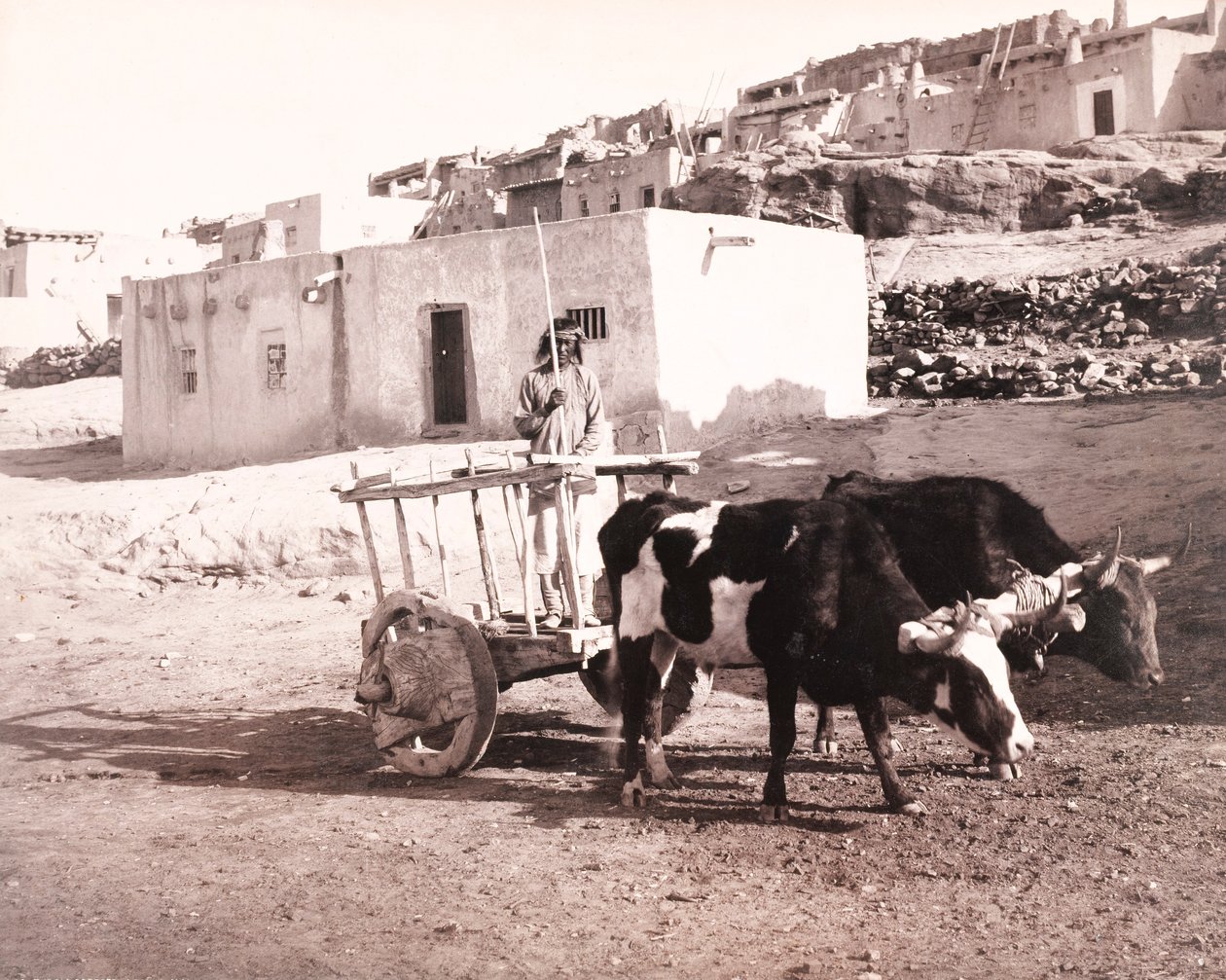 Gamla Carreta, Laguna, New Mexico av William H. Jackson