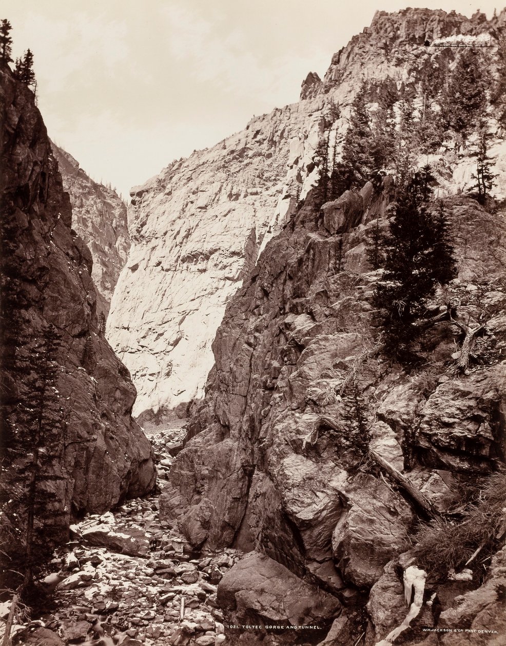 Toltec Gorge och tunnel (1021) av William H. Jackson
