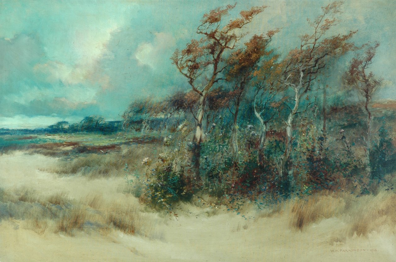 Träd i en sandig gränd, Heysham, 1916 av William H. Parkinson