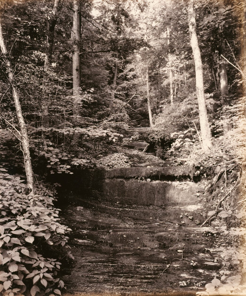 Owasco Lake, Cascade Glen, för Lehigh Valley Railroad av William H. Rau