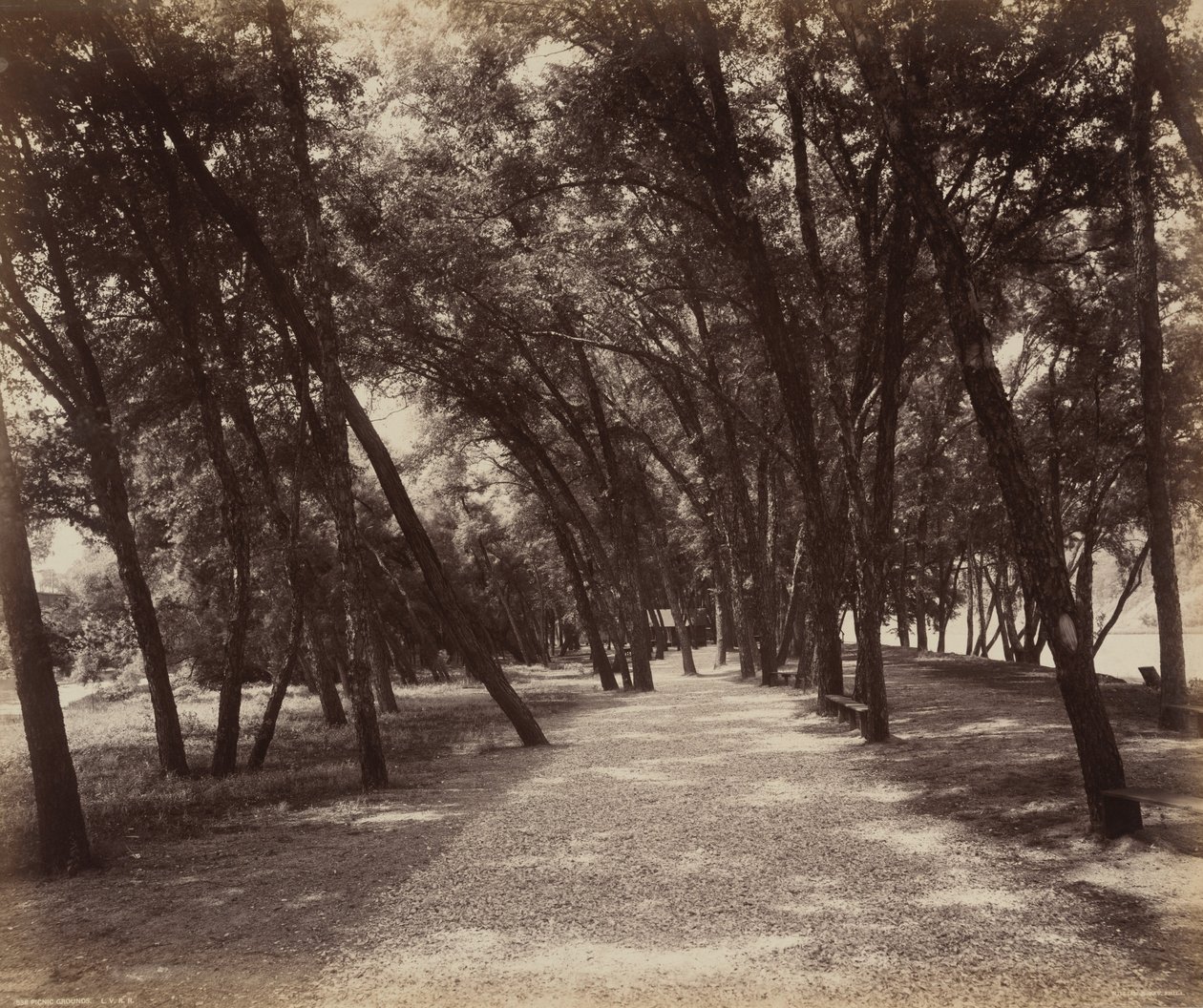 Picknickplatser av William H. Rau