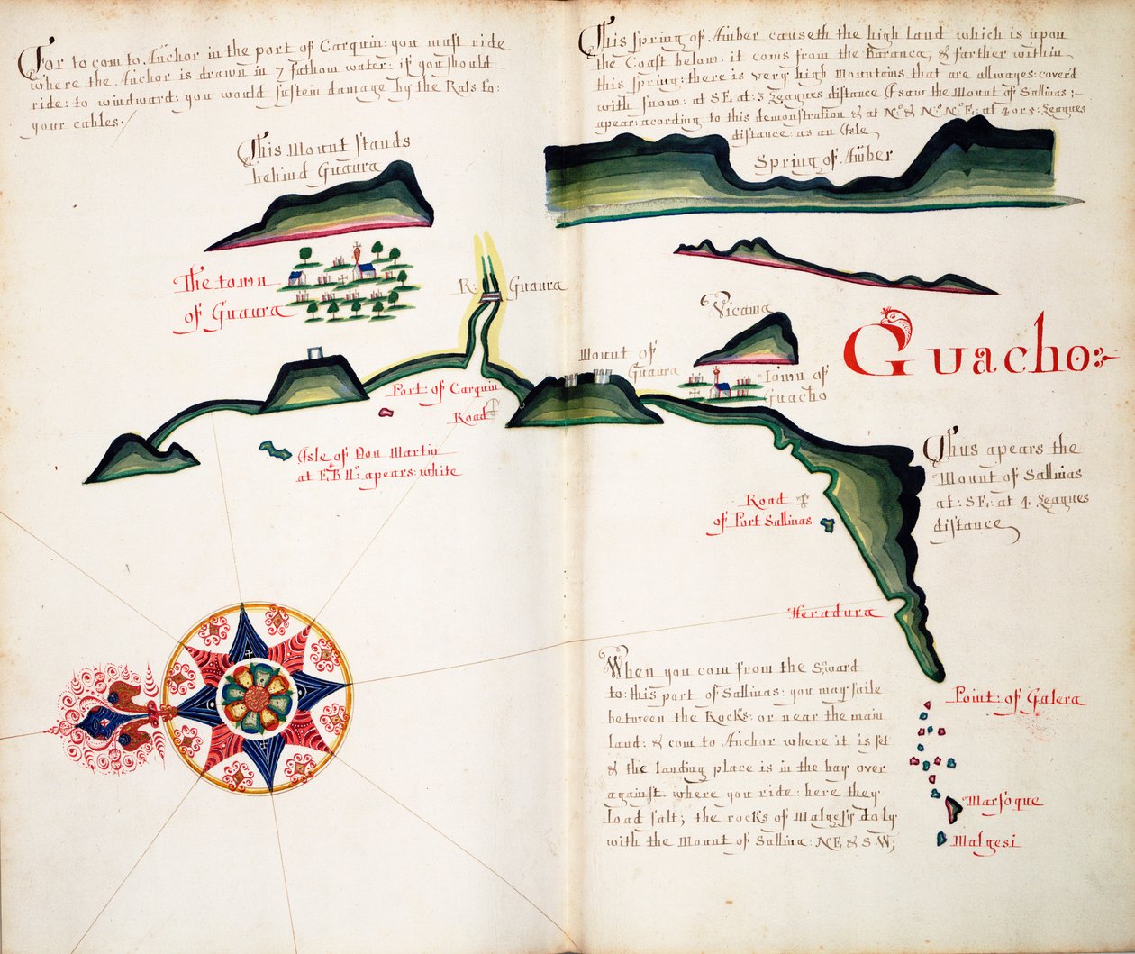 Guacho av William Hack