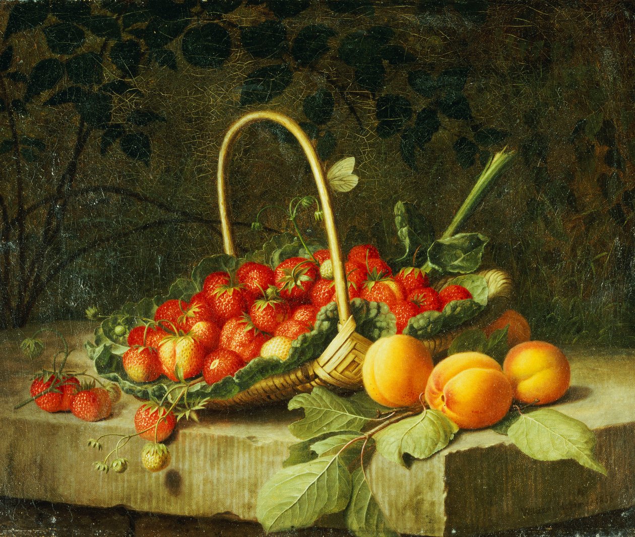 En korg med jordgubbar med persikor på en stenavsats, 1856 av William Hammer