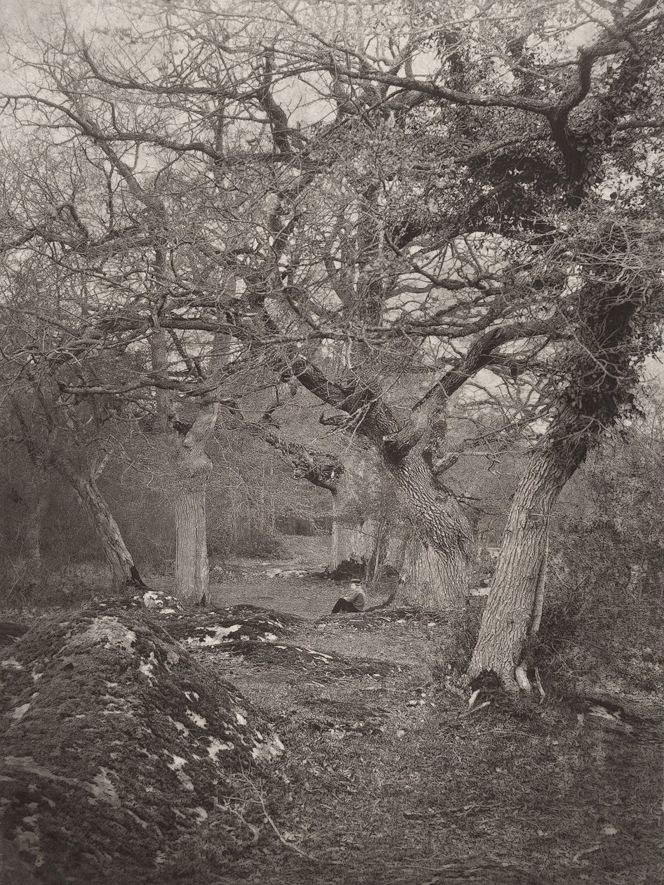 Forest of Fontainebleau, 1870-talet. av William Harrison
