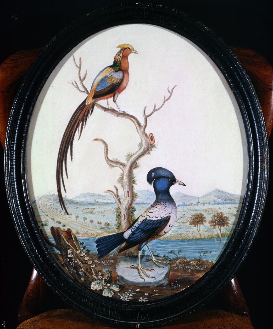 Guldfasan och Jay av William Hayes