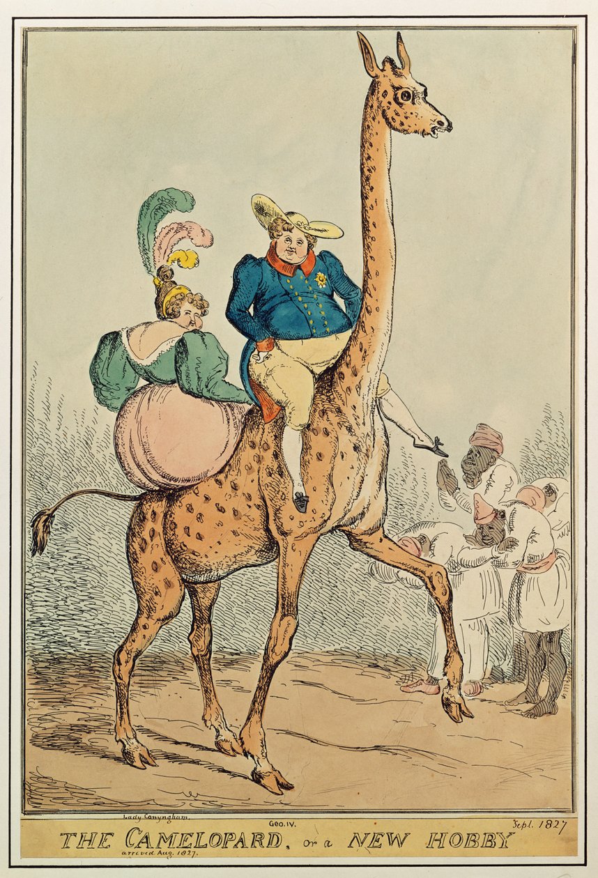 Camelopard, eller en ny hobby, 1827 (färggravyr) av William Heath