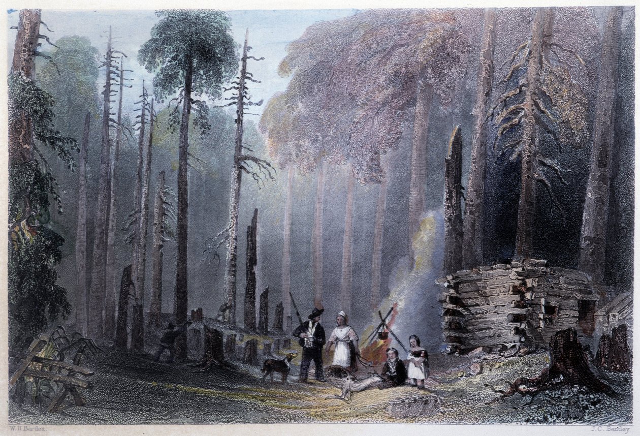 First Settler Installation - i "" kanadensiskt landskap illustrerad" av W.H. Bartlett, London av William Henry Bartlett