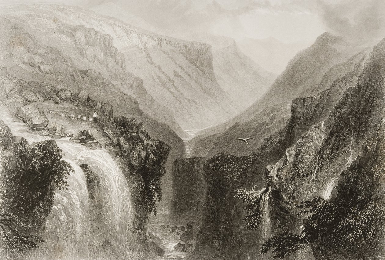 Chef för Glenmalure, County Wicklow, från "Scenery and Antiquities of Ireland" av George Virtue, 1860-talet av William Henry Bartlett
