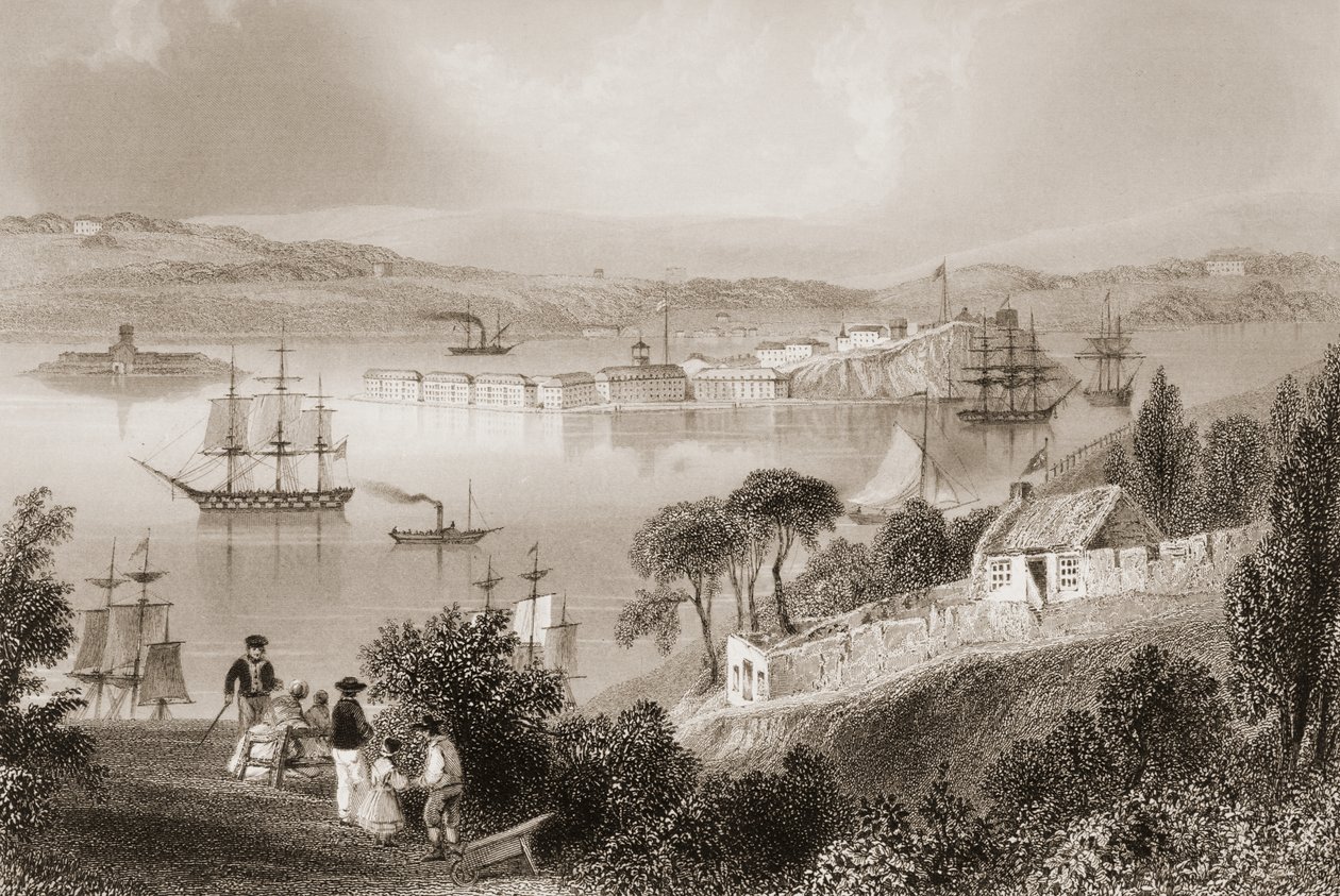 The Cove of Cork (nu Cobh), County Cork, Irland, från "Scenery and Antiquities of Ireland" av George Virtue, 1860-talet av William Henry Bartlett