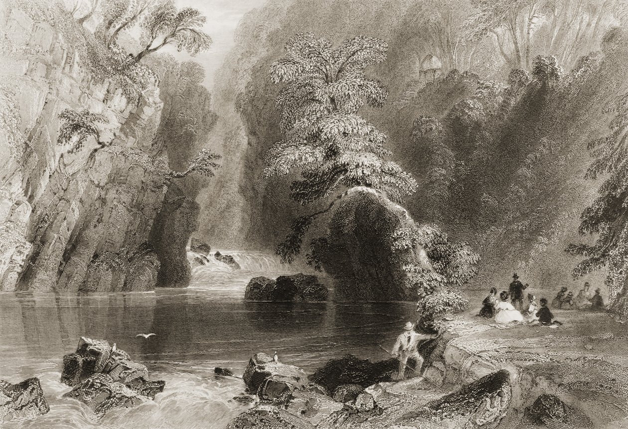 The Dargle River, County Wicklow, från "Scenery and Antiquities of Ireland" av George Virtue, 1860-talet av William Henry Bartlett
