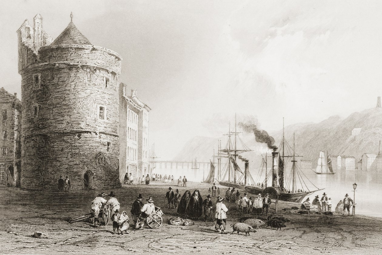 The Quay at Waterford, Irland, från "Scenery and Antiquities of Ireland" av George Virtue, 1860-talet av William Henry Bartlett
