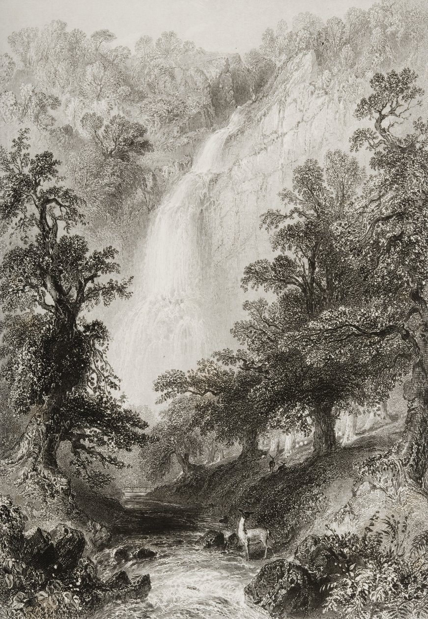 Vattenfallet, Powerscourt, County Wicklow, Irland, från "Scenery and Antiquities of Ireland" av George Virtue, 1860-talet av William Henry Bartlett