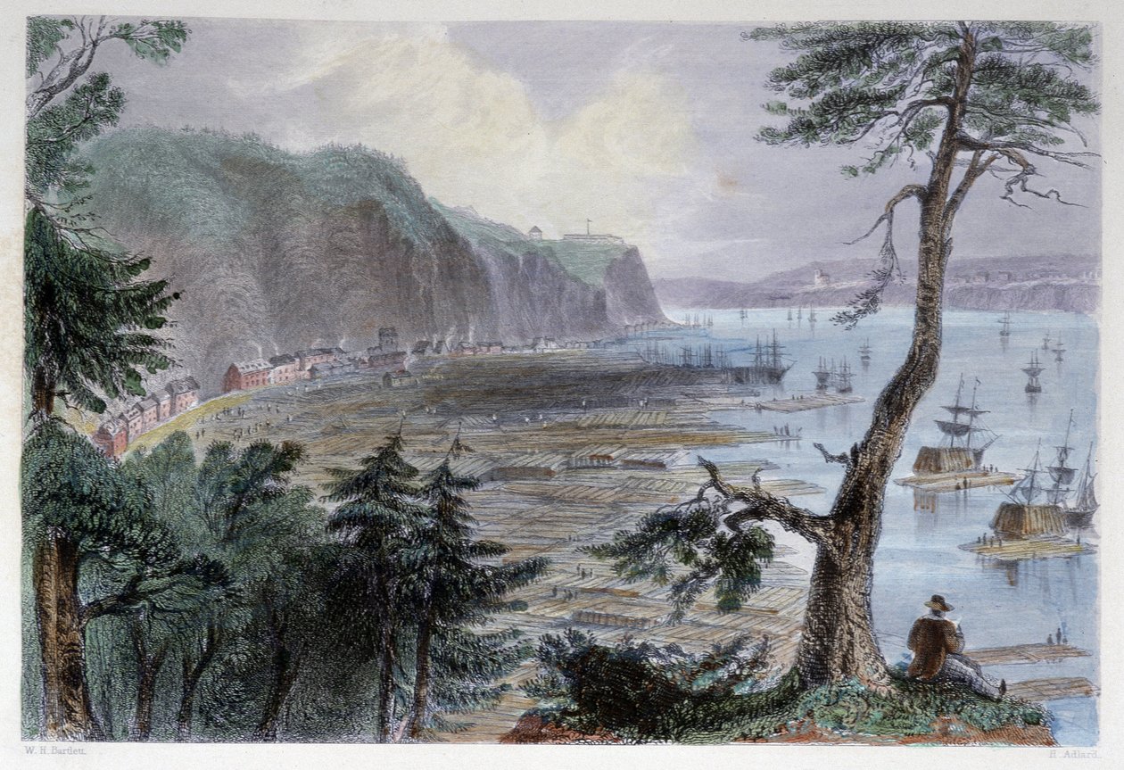 Timber Deposition nära Quebec - i "" kanadensiskt landskap illustrerad" av Bartlett W. H. av William Henry Bartlett