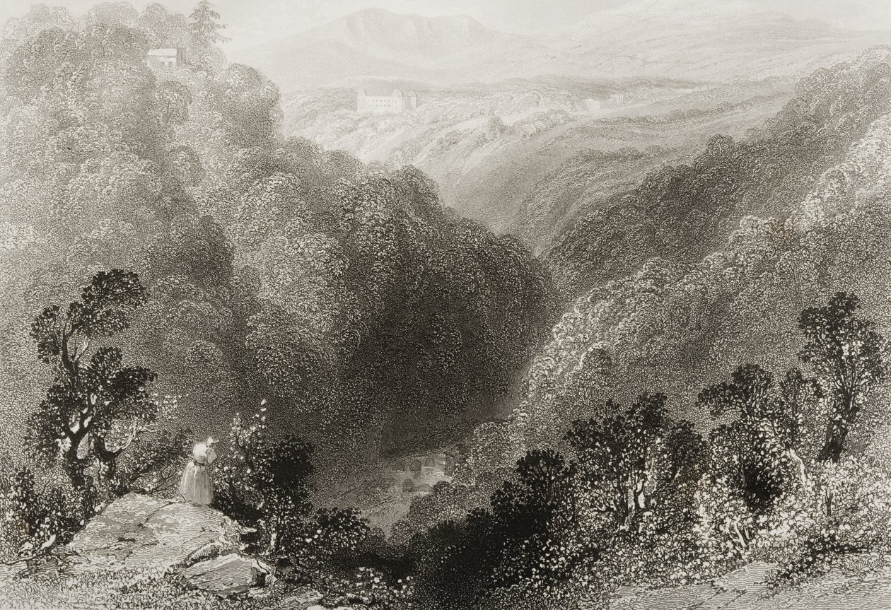 Vy över Powerscourt från Dargle, County Wicklow, från "Scenery and Antiquities of Ireland" av George Virtue, 1860-talet av William Henry Bartlett