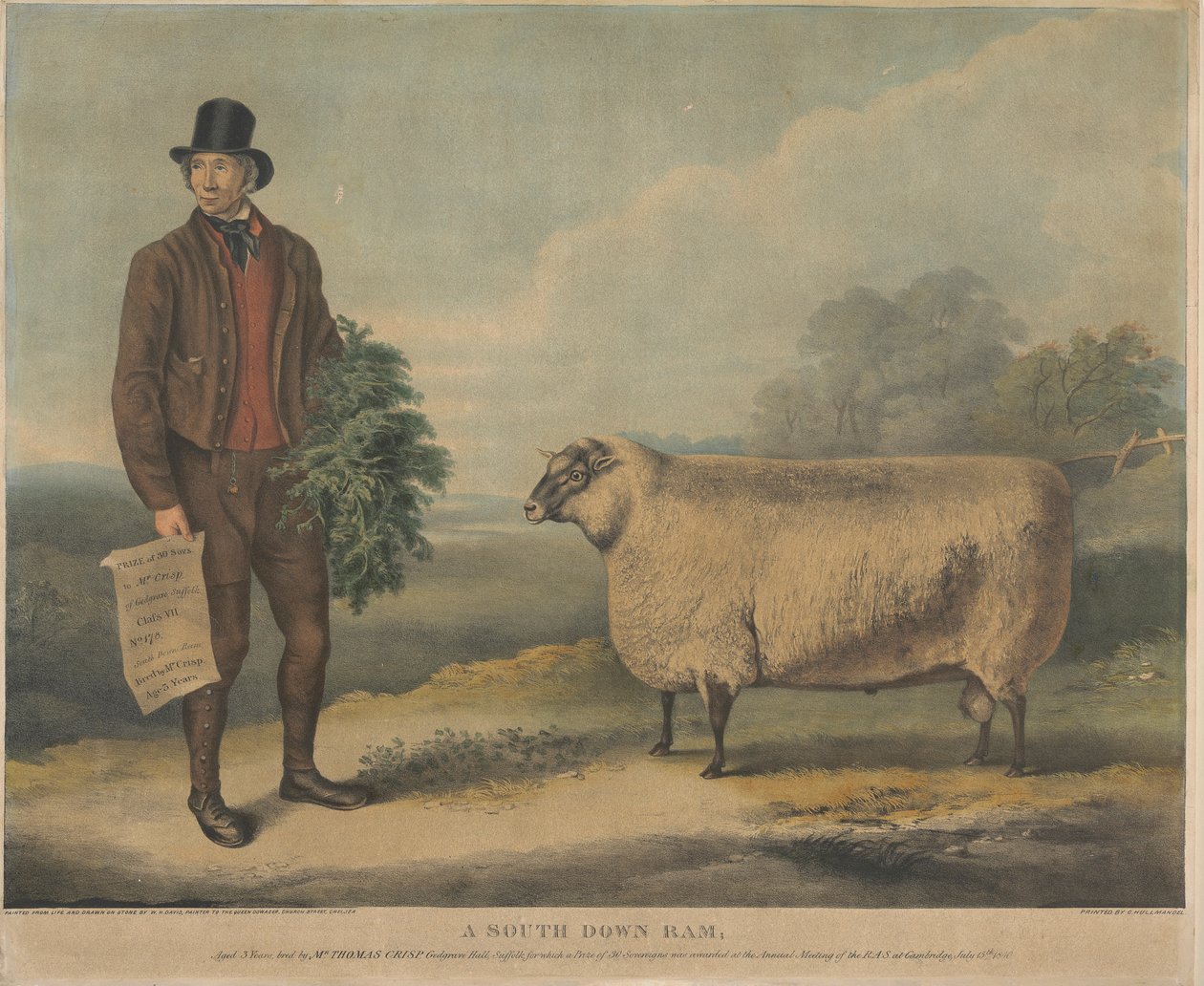 En South Down Ram; Ålder 3 år, uppfödd av Mr. Thomas Crisp, Gedgrave Hall, Suffolk, för vilket ett pris på 30 Severeigns delades ut vid årsmötet i R.A.S. i Cambridge den 15 juli 1840 av William Henry Davis