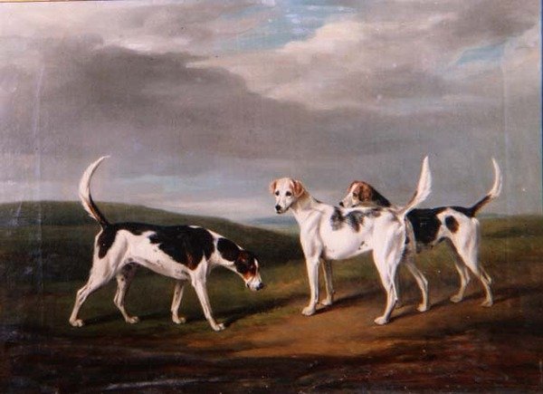 Foxhounds i ett landskap av William Henry Davis