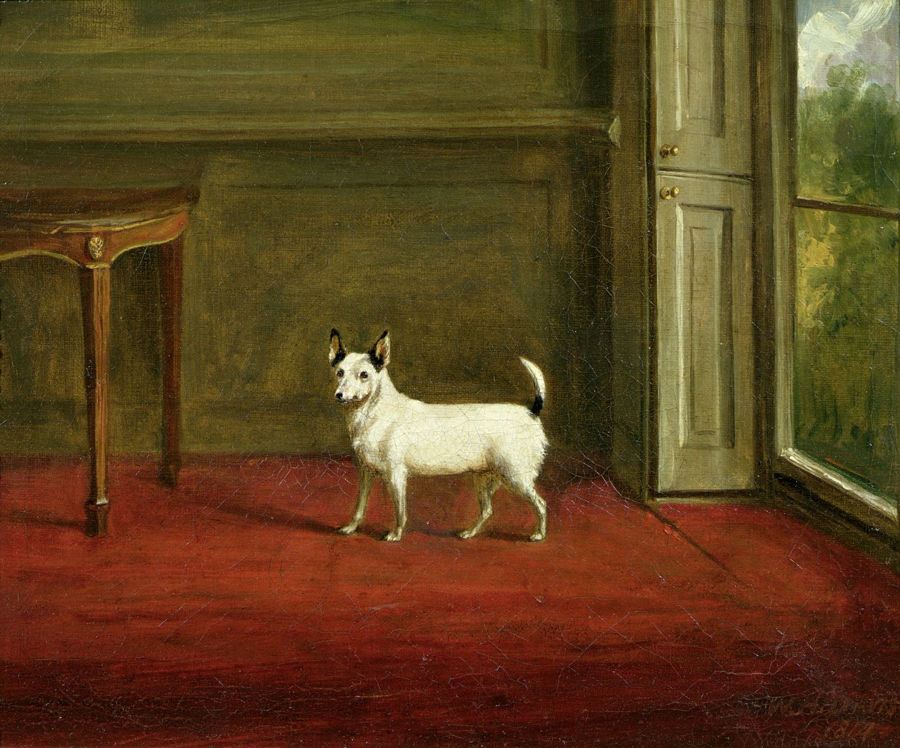 Porträtt av en Jack Russell Terrier (i Regency Interior) 1814 av William Henry Davis
