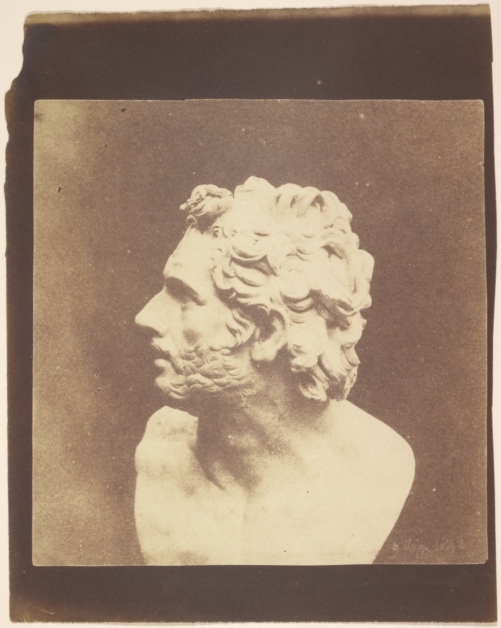 [Byst av Patroklos] av William Henry Fox Talbot