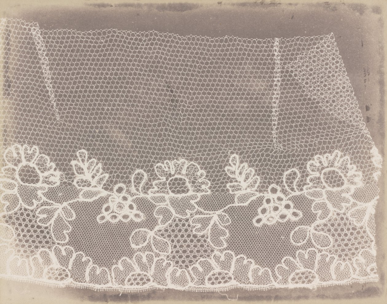 Spets av William Henry Fox Talbot