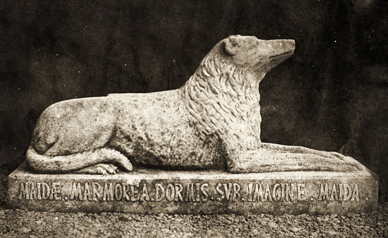 Staty av Maida, rapporteras vara Sir Walter Scotts favorithund. (sepiafoto) av William Henry Fox Talbot