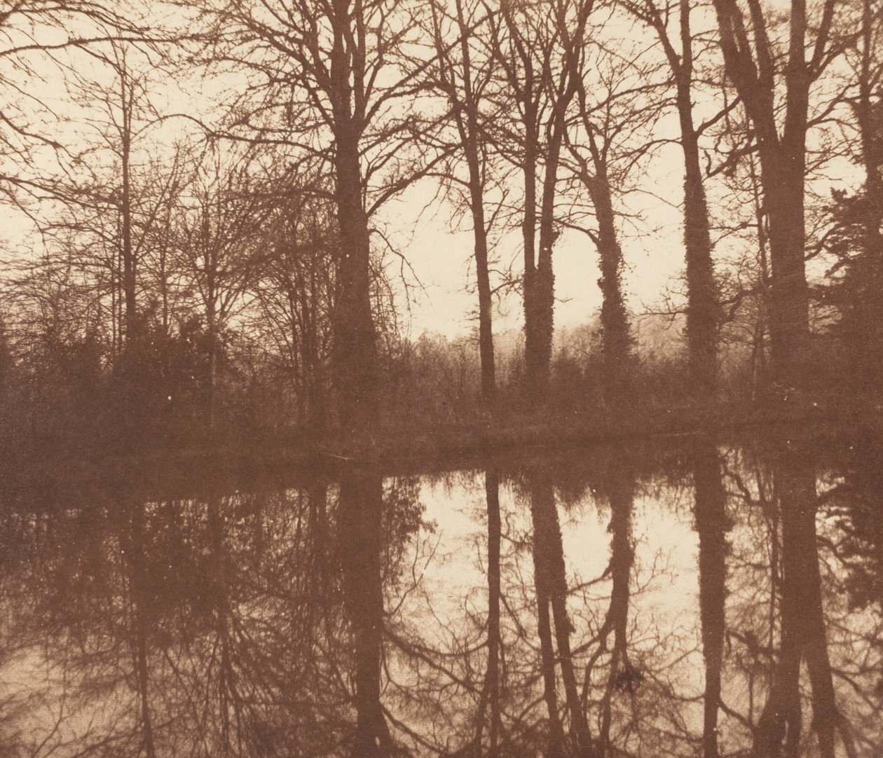 Vinterträd som speglar sig i en damm,1841-1842 (foto) av William Henry Fox Talbot