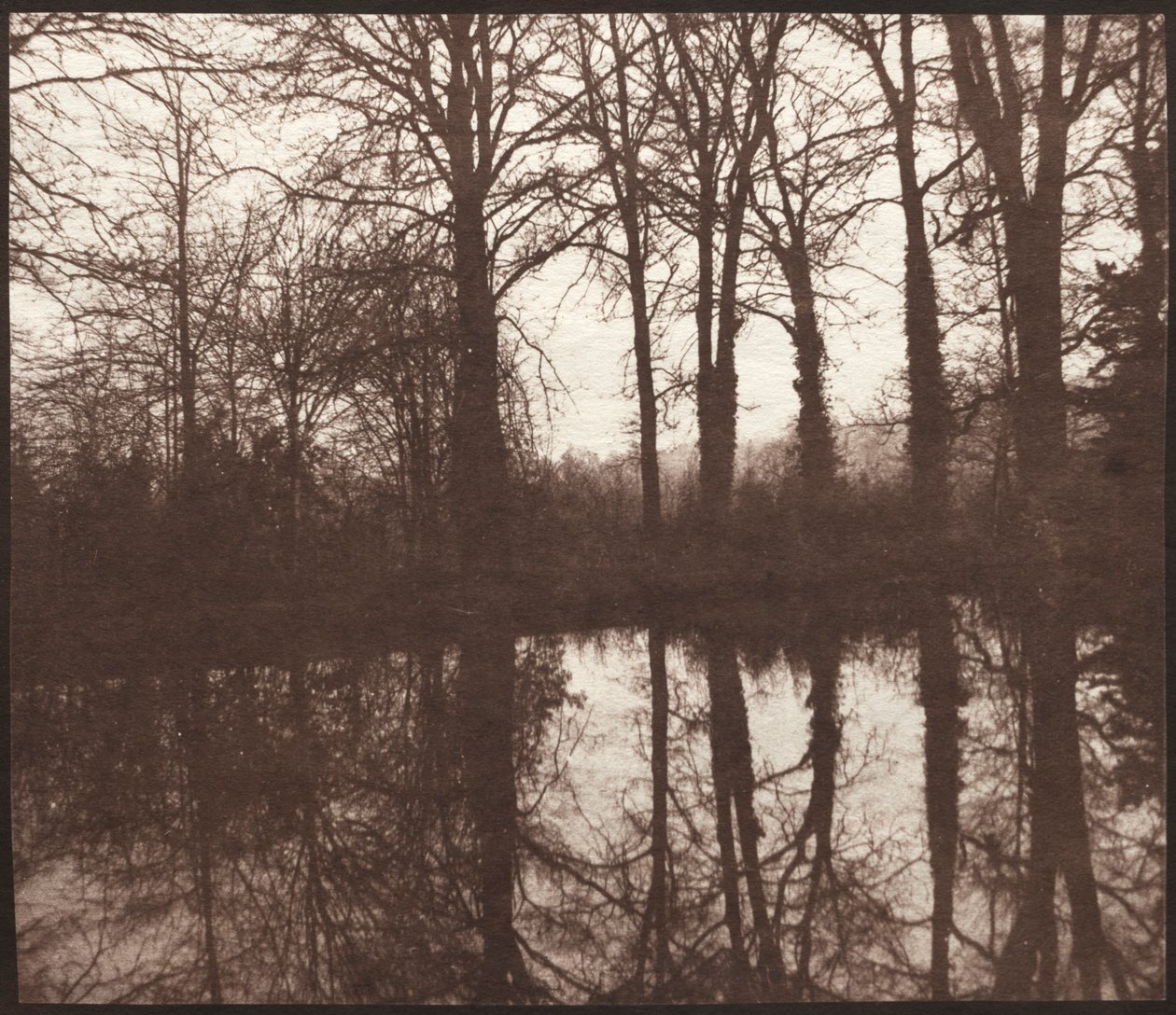 Vinterträd reflekterade i en damm, 1841-42. av William Henry Fox Talbot