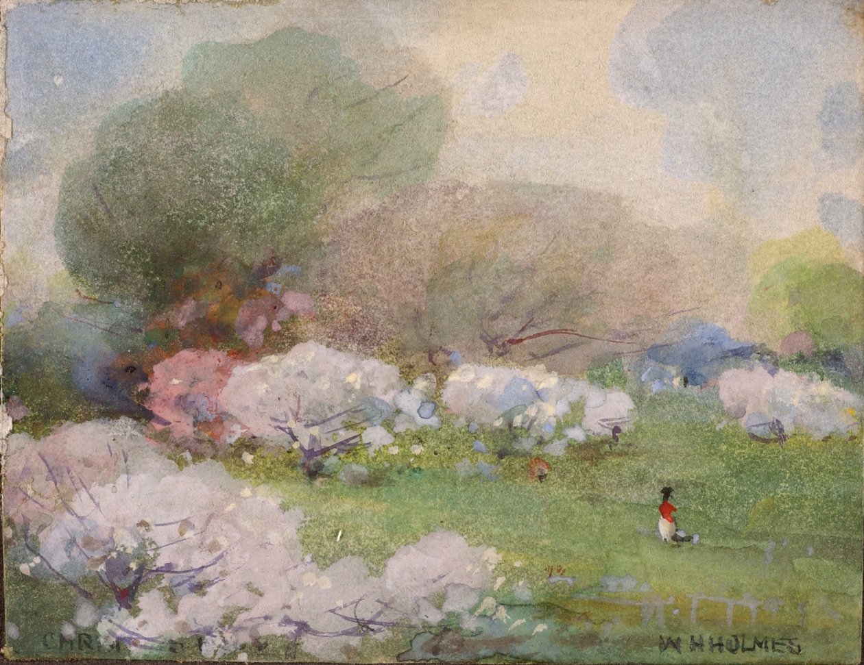 Körsbärsblommor av William Henry Holmes