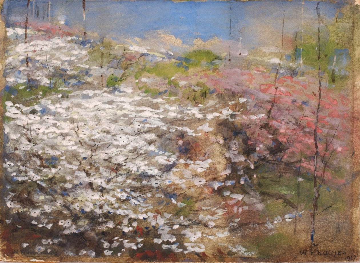 Blossoms fält, 1927. av William Henry Holmes