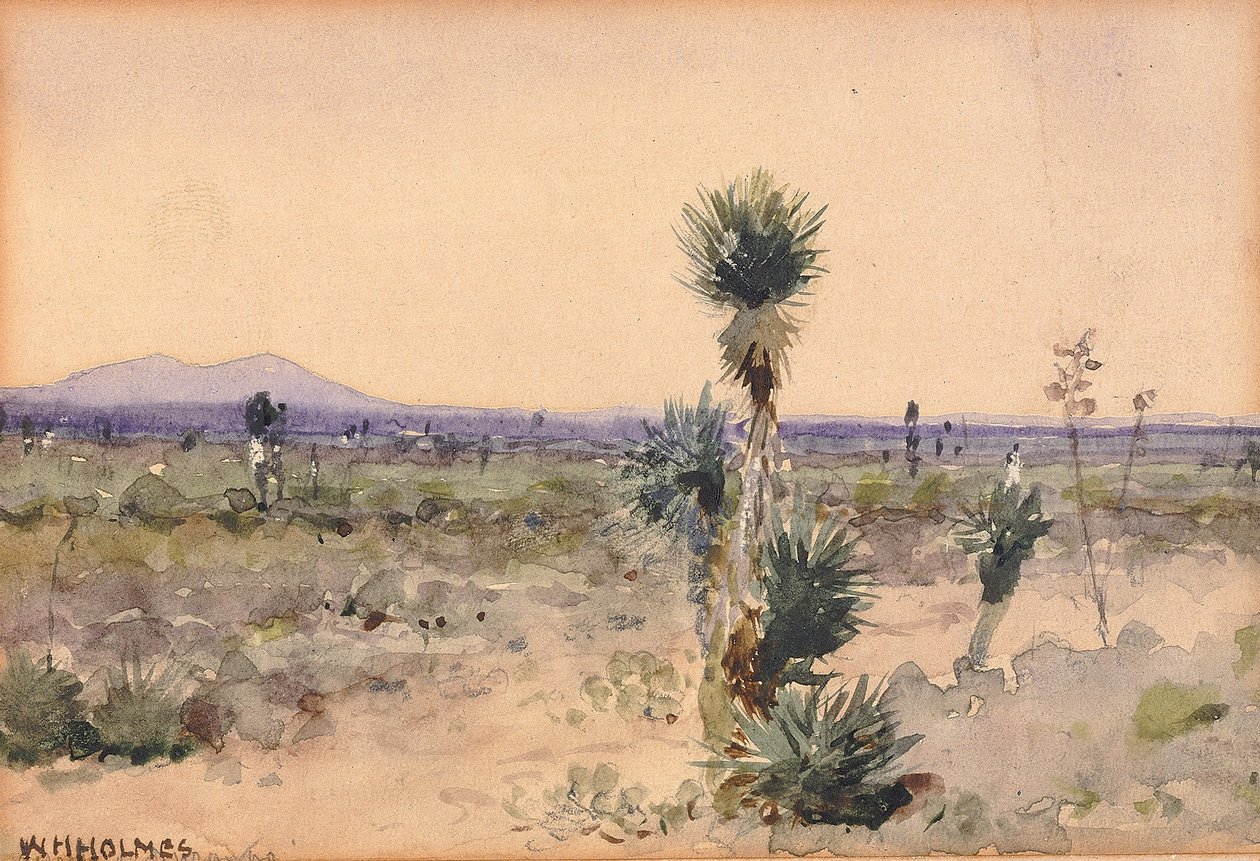 Yuccaland--Chihuahua, Mexiko av William Henry Holmes
