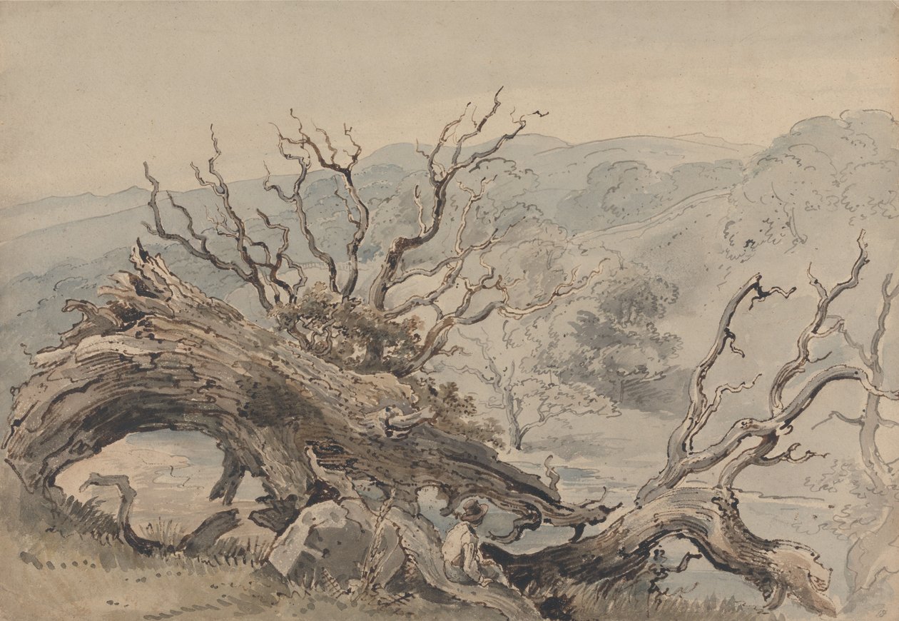 En fallen ek av William Henry Hunt