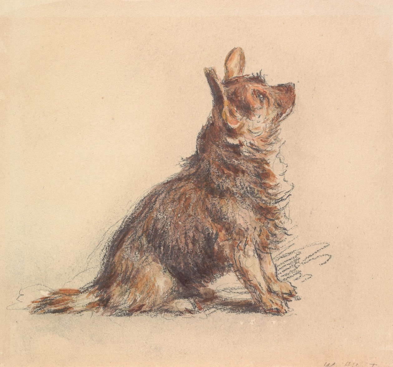 En sittande terrier som tittar uppåt åt höger av William Henry Hunt