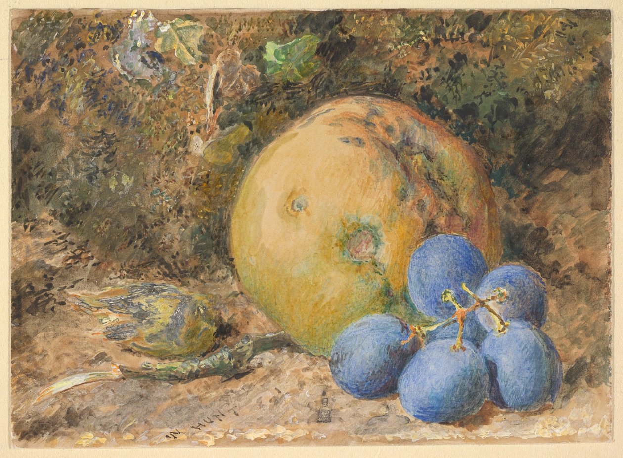 Ett äpple, druvor och en hasselnöt på en mossig strandbrink av William Henry Hunt
