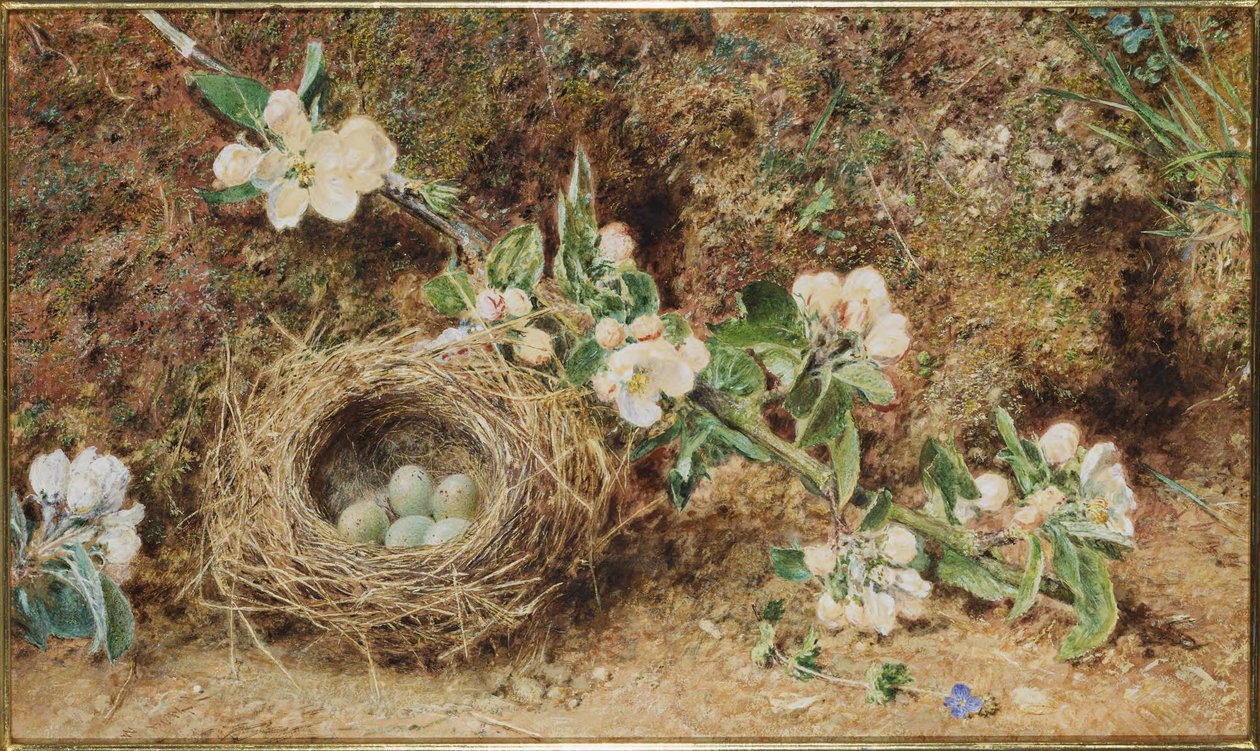 Fågelbo och blomma av William Henry Hunt