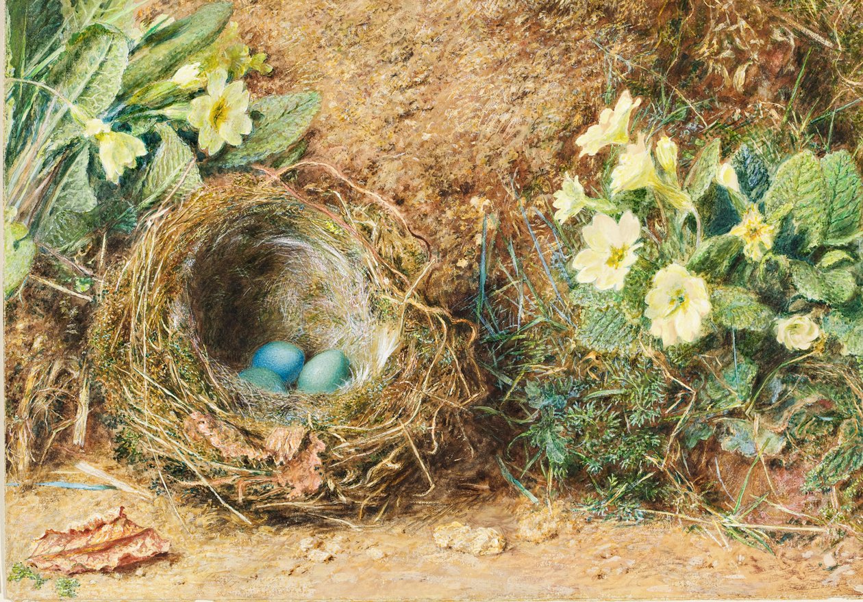 Fågelbo med tre blå ägg och primörer av William Henry Hunt