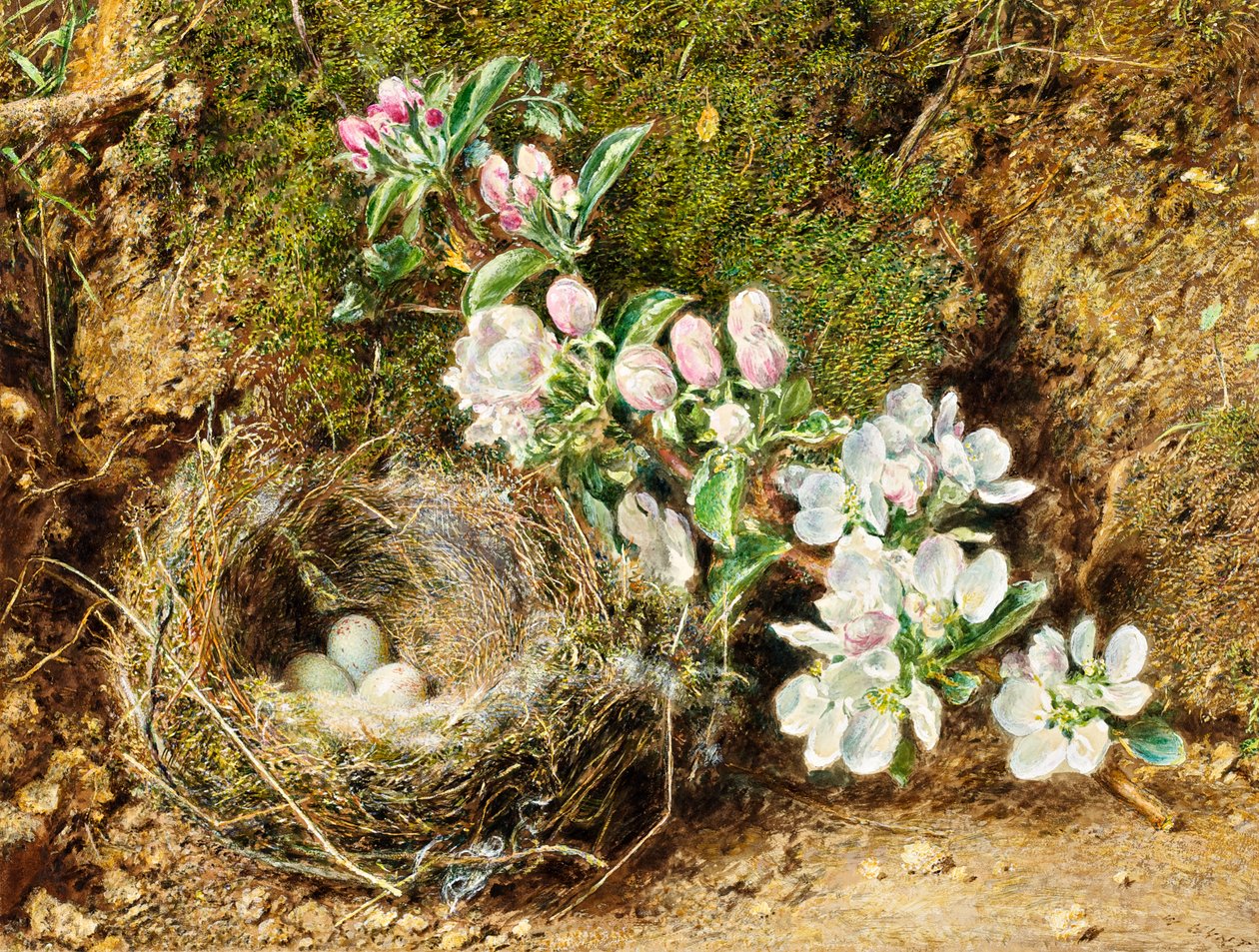 Gren av Apple Blossom och Bird