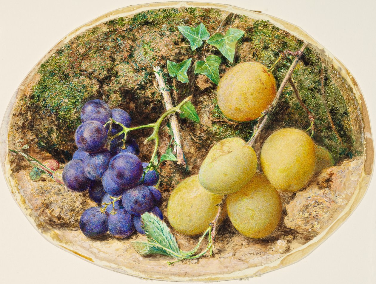 Gyllene droppe plommon och svarta druvor, c.1860 av William Henry Hunt