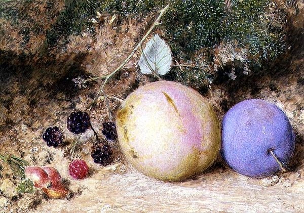Nypon, björnbär och plommon av William Henry Hunt